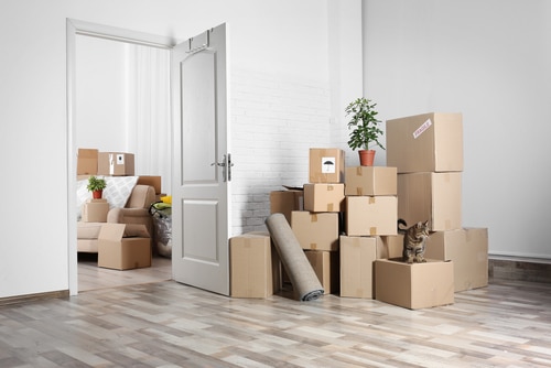 Boxes — Furniture Removal in Coffs Harbour, NSW